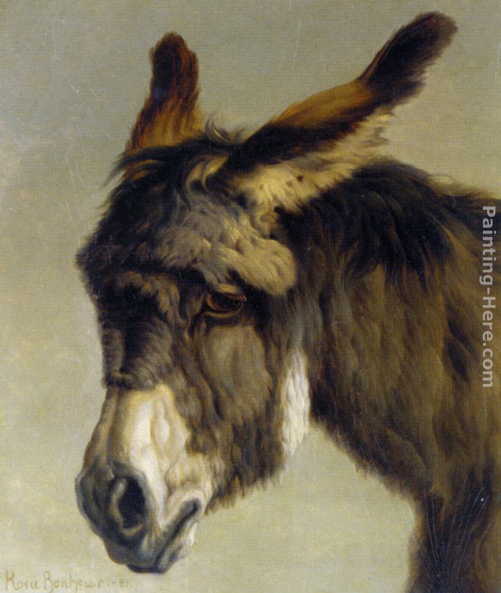 Head of a Donkey painting - Rosa Bonheur Head of a Donkey art painting
